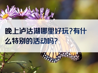 晚上泸沽湖哪里好玩？有什么特别的活动吗？