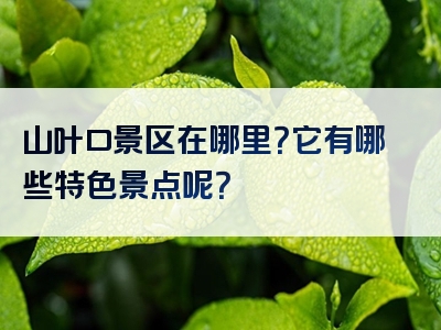 山叶口景区在哪里？它有哪些特色景点呢？
