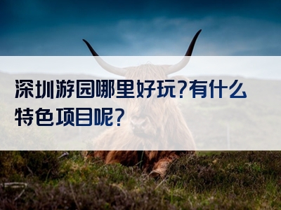 深圳游园哪里好玩？有什么特色项目呢？