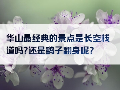 华山最经典的景点是长空栈道吗？还是鹞子翻身呢？