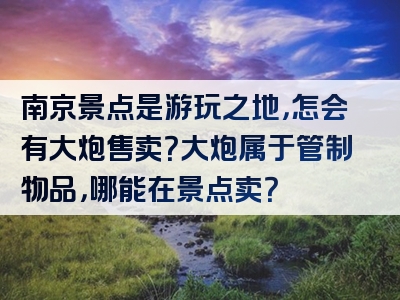 南京景点是游玩之地，怎会有大炮售卖？大炮属于管制物品，哪能在景点卖？