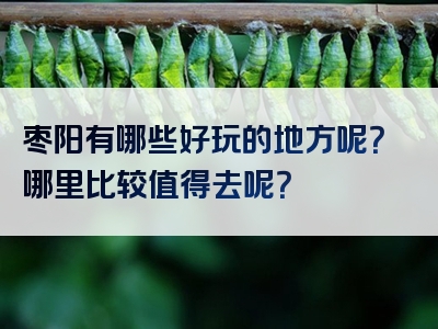枣阳有哪些好玩的地方呢？哪里比较值得去呢？