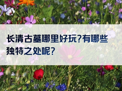 长清古墓哪里好玩？有哪些独特之处呢？