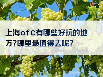 上海bfc有哪些好玩的地方？哪里最值得去呢？