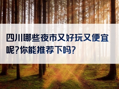四川哪些夜市又好玩又便宜呢？你能推荐下吗？