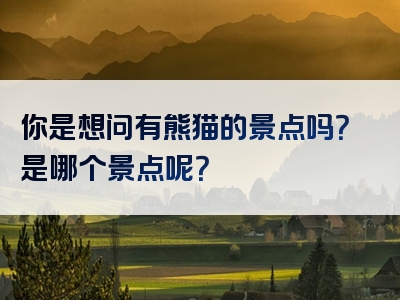 你是想问有熊猫的景点吗？是哪个景点呢？