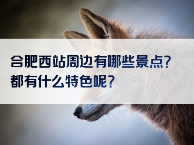 合肥西站周边有哪些景点？都有什么特色呢？