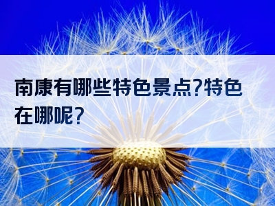 南康有哪些特色景点？特色在哪呢？