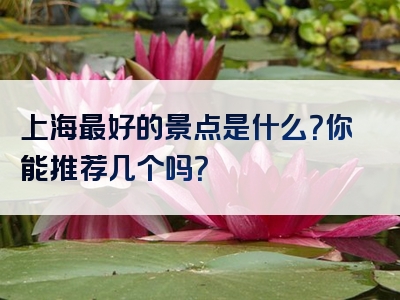 上海最好的景点是什么？你能推荐几个吗？