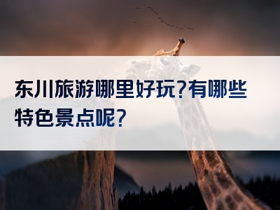 东川旅游哪里好玩？有哪些特色景点呢？
