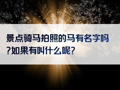 景点骑马拍照的马有名字吗？如果有叫什么呢？