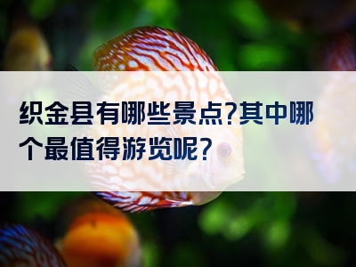 织金县有哪些景点？其中哪个最值得游览呢？