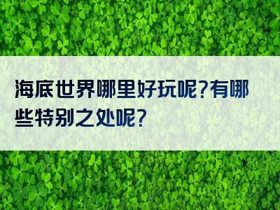 海底世界哪里好玩呢？有哪些特别之处呢？