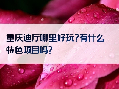 重庆迪厅哪里好玩？有什么特色项目吗？