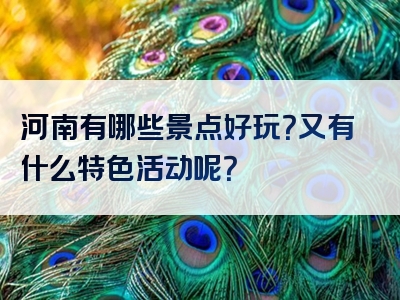 河南有哪些景点好玩？又有什么特色活动呢？