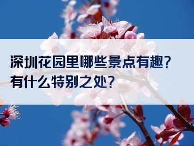 深圳花园里哪些景点有趣？有什么特别之处？