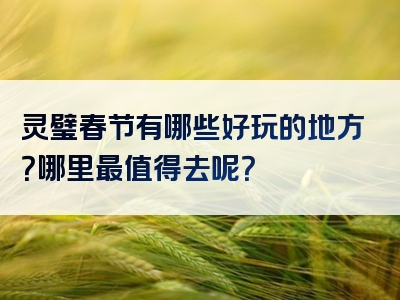 灵璧春节有哪些好玩的地方？哪里最值得去呢？