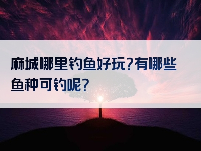 麻城哪里钓鱼好玩？有哪些鱼种可钓呢？