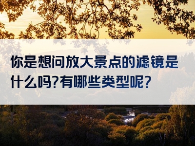 你是想问放大景点的滤镜是什么吗？有哪些类型呢？