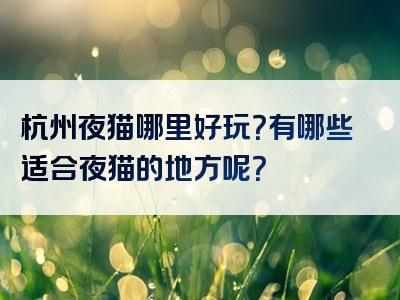 杭州夜猫哪里好玩？有哪些适合夜猫的地方呢？