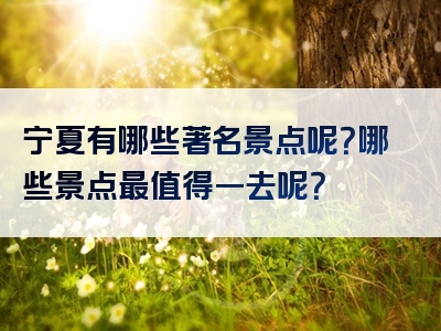 宁夏有哪些著名景点呢？哪些景点最值得一去呢？