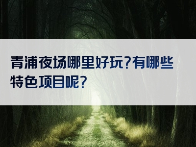 青浦夜场哪里好玩？有哪些特色项目呢？