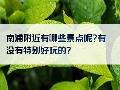 南浦附近有哪些景点呢？有没有特别好玩的？