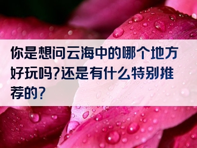 你是想问云海中的哪个地方好玩吗？还是有什么特别推荐的？