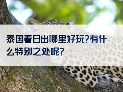 泰国看日出哪里好玩？有什么特别之处呢？