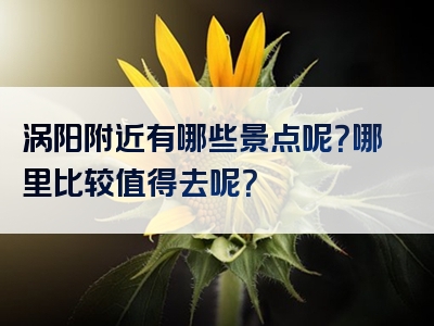 涡阳附近有哪些景点呢？哪里比较值得去呢？