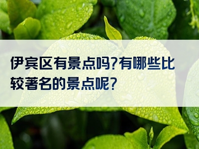 伊宾区有景点吗？有哪些比较著名的景点呢？