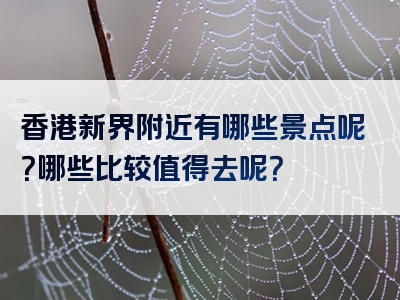 香港新界附近有哪些景点呢？哪些比较值得去呢？