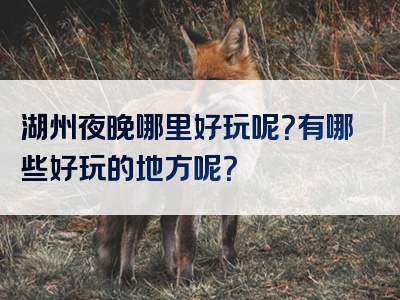 湖州夜晚哪里好玩呢？有哪些好玩的地方呢？