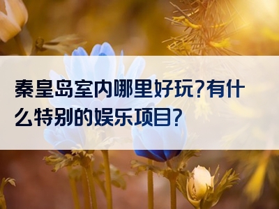 秦皇岛室内哪里好玩？有什么特别的娱乐项目？