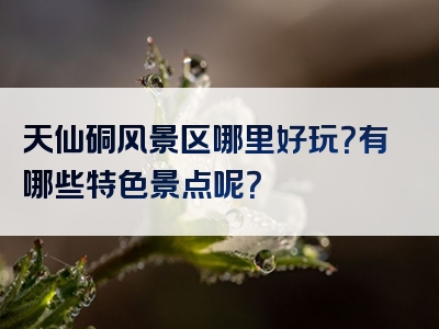 天仙硐风景区哪里好玩？有哪些特色景点呢？