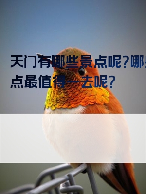 天门有哪些景点呢？哪些景点最值得一去呢？