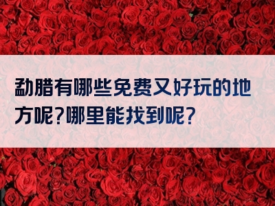 勐腊有哪些免费又好玩的地方呢？哪里能找到呢？