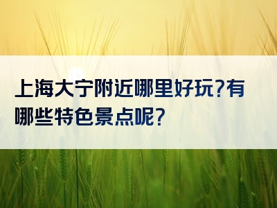 上海大宁附近哪里好玩？有哪些特色景点呢？