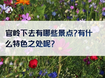 官岭下去有哪些景点？有什么特色之处呢？