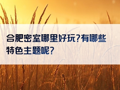 合肥密室哪里好玩？有哪些特色主题呢？