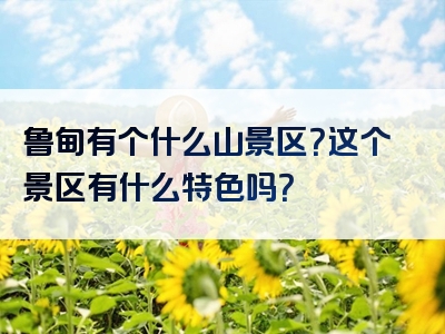 鲁甸有个什么山景区？这个景区有什么特色吗？
