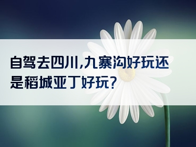 自驾去四川，九寨沟好玩还是稻城亚丁好玩？