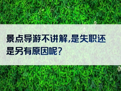 景点导游不讲解，是失职还是另有原因呢？