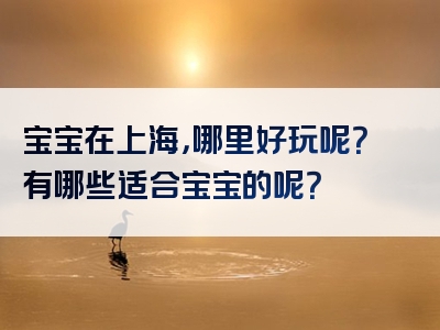 宝宝在上海，哪里好玩呢？有哪些适合宝宝的呢？