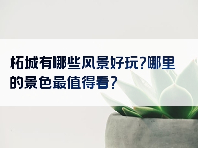 柘城有哪些风景好玩？哪里的景色最值得看？