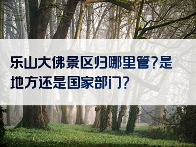 乐山大佛景区归哪里管？是地方还是国家部门？
