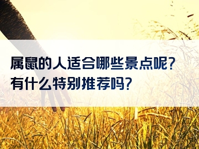 属鼠的人适合哪些景点呢？有什么特别推荐吗？