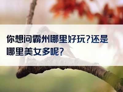 你想问霸州哪里好玩？还是哪里美女多呢？