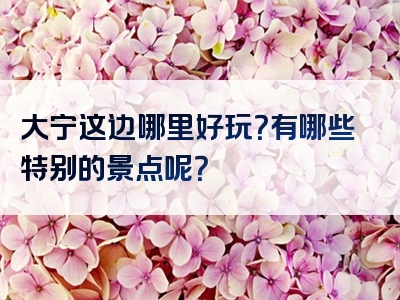 大宁这边哪里好玩？有哪些特别的景点呢？