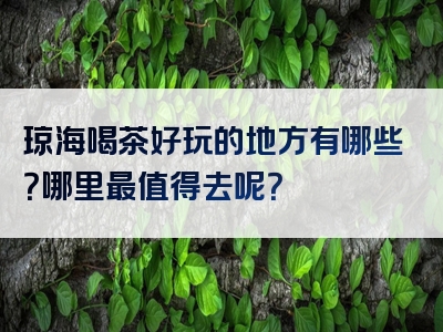 琼海喝茶好玩的地方有哪些？哪里最值得去呢？